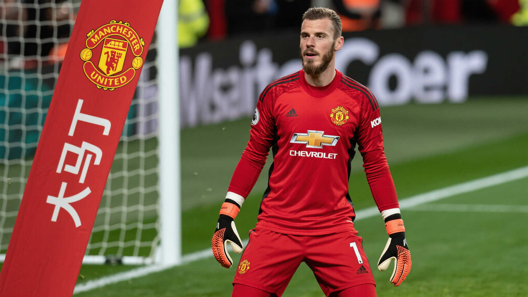 乐鱼体育电脑下载